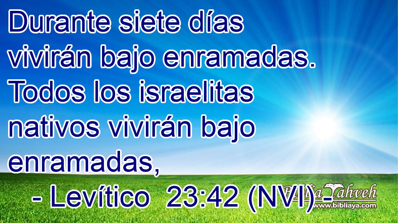  Durante siete días vivirán bajo enramadas. Todos los israelitas nativos vivirán bajo enramadas, 