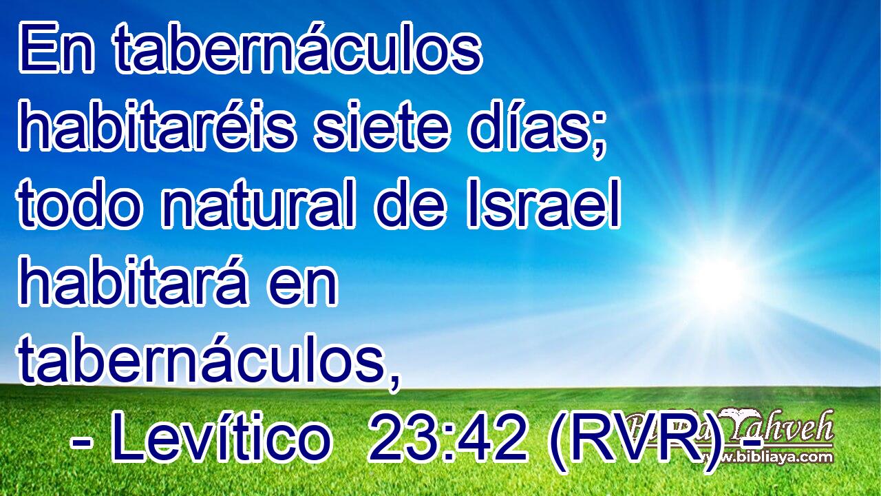 En tabernáculos habitaréis siete días; todo natural de Israel habitará en tabernáculos,