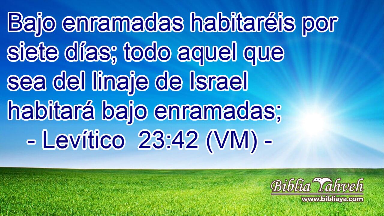  Bajo enramadas habitaréis por siete días; todo aquel que sea del linaje de Israel habitará bajo enramadas; 