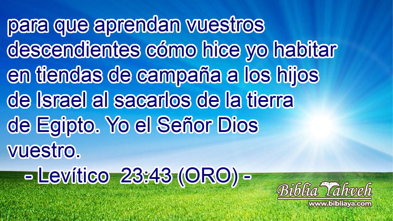  para que aprendan vuestros descendientes cómo hice yo habitar en tiendas de campaña a los hijos de Israel al sacarlos de la tierra de Egipto. Yo el Señor Dios vuestro. 