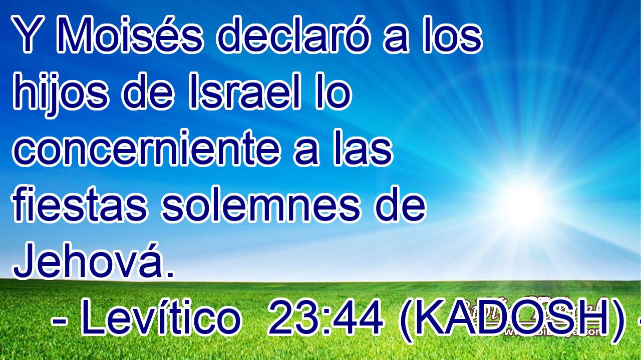  Y Moisés declaró a los hijos de Israel lo concerniente a las fiestas solemnes de Jehová. 