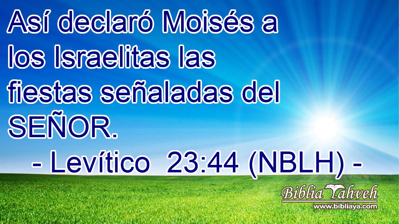  Así declaró Moisés a los Israelitas las fiestas señaladas del SEÑOR. 