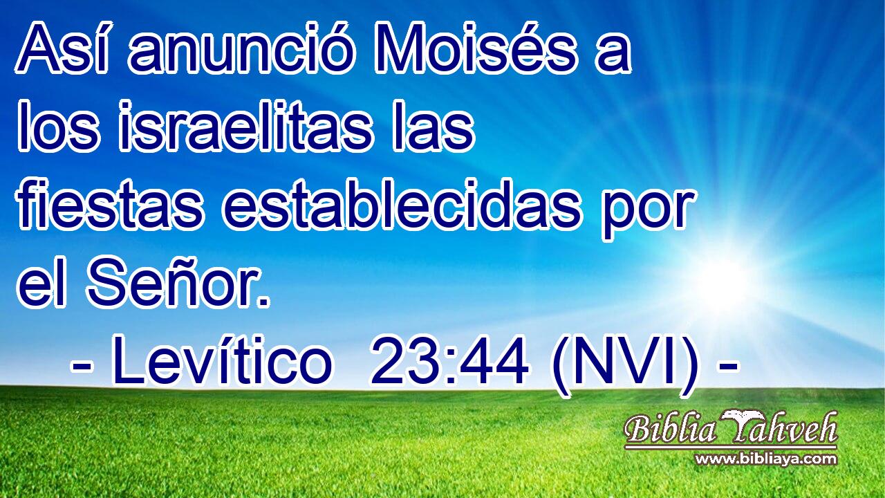  Así anunció Moisés a los israelitas las fiestas establecidas por el Señor. 