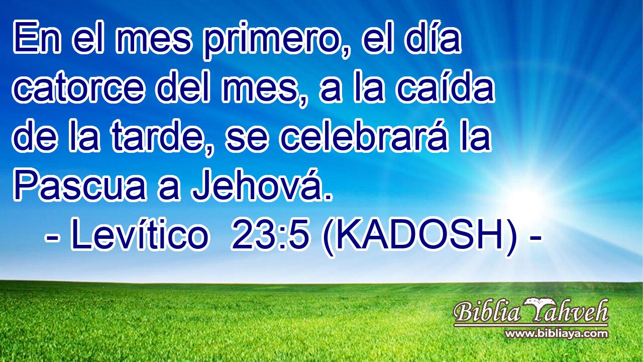 En el mes primero, el día catorce del mes, a la caída de la tarde, se celebrará la Pascua a Jehová. 
