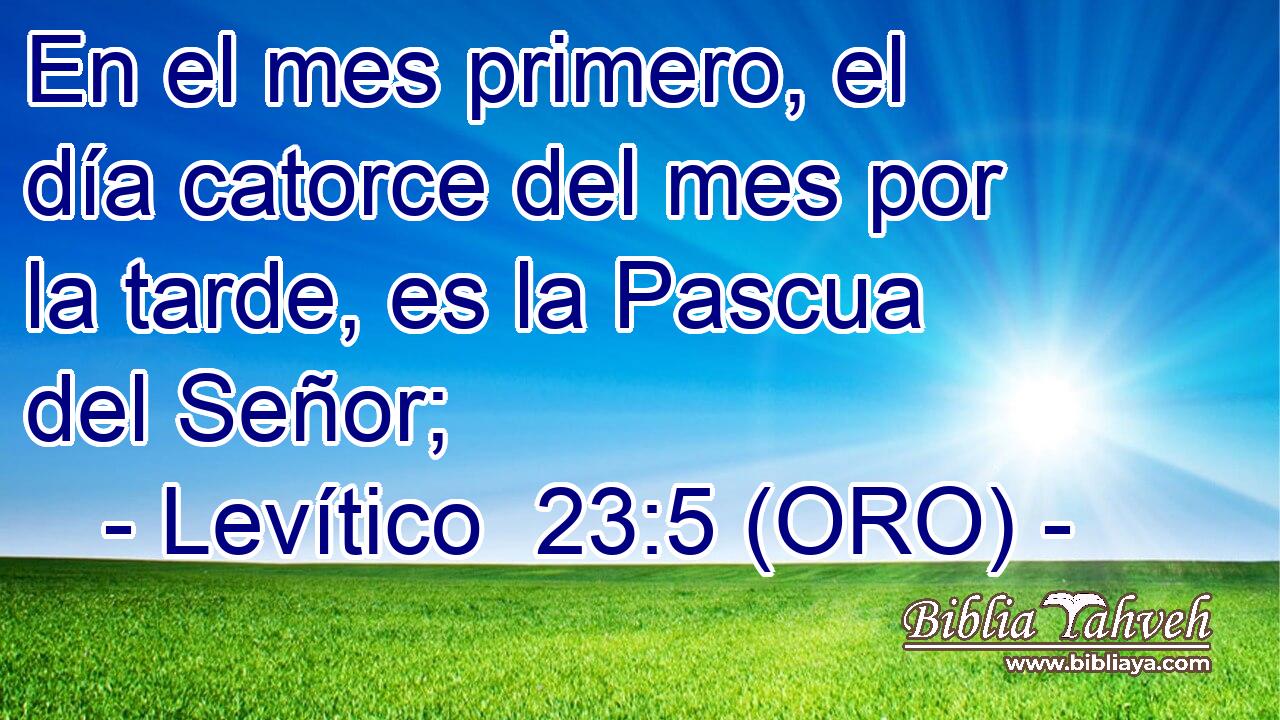  En el mes primero, el día catorce del mes por la tarde, es la Pascua del Señor; 