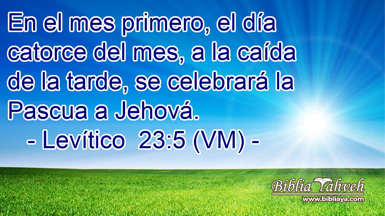  En el mes primero, el día catorce del mes, a la caída de la tarde, se celebrará la Pascua a Jehová. 