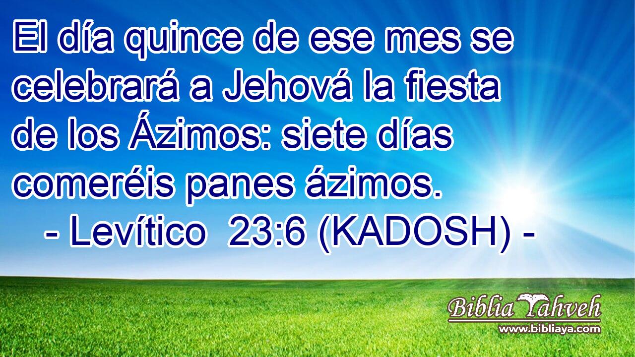  El día quince de ese mes se celebrará a Jehová la fiesta de los Ázimos: siete días comeréis panes ázimos. 