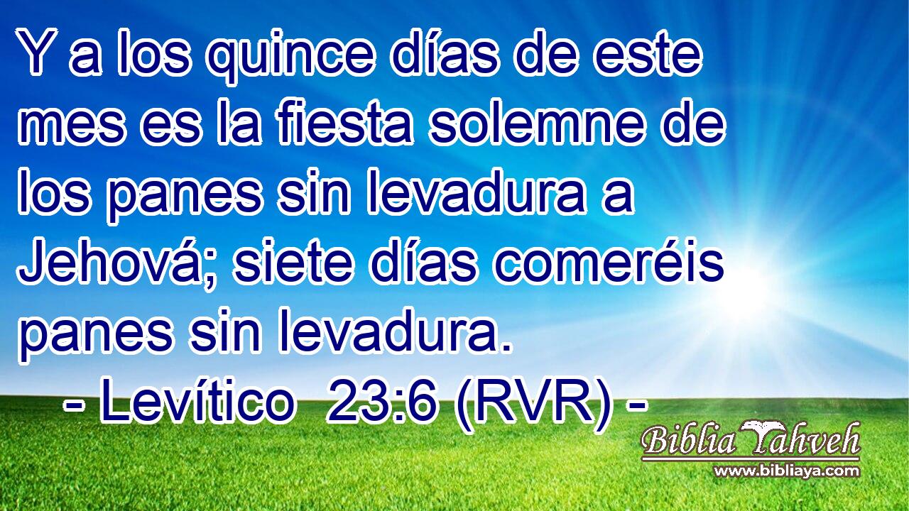 Y a los quince días de este mes es la fiesta solemne de los panes sin levadura a Jehová; siete días comeréis panes sin levadura.