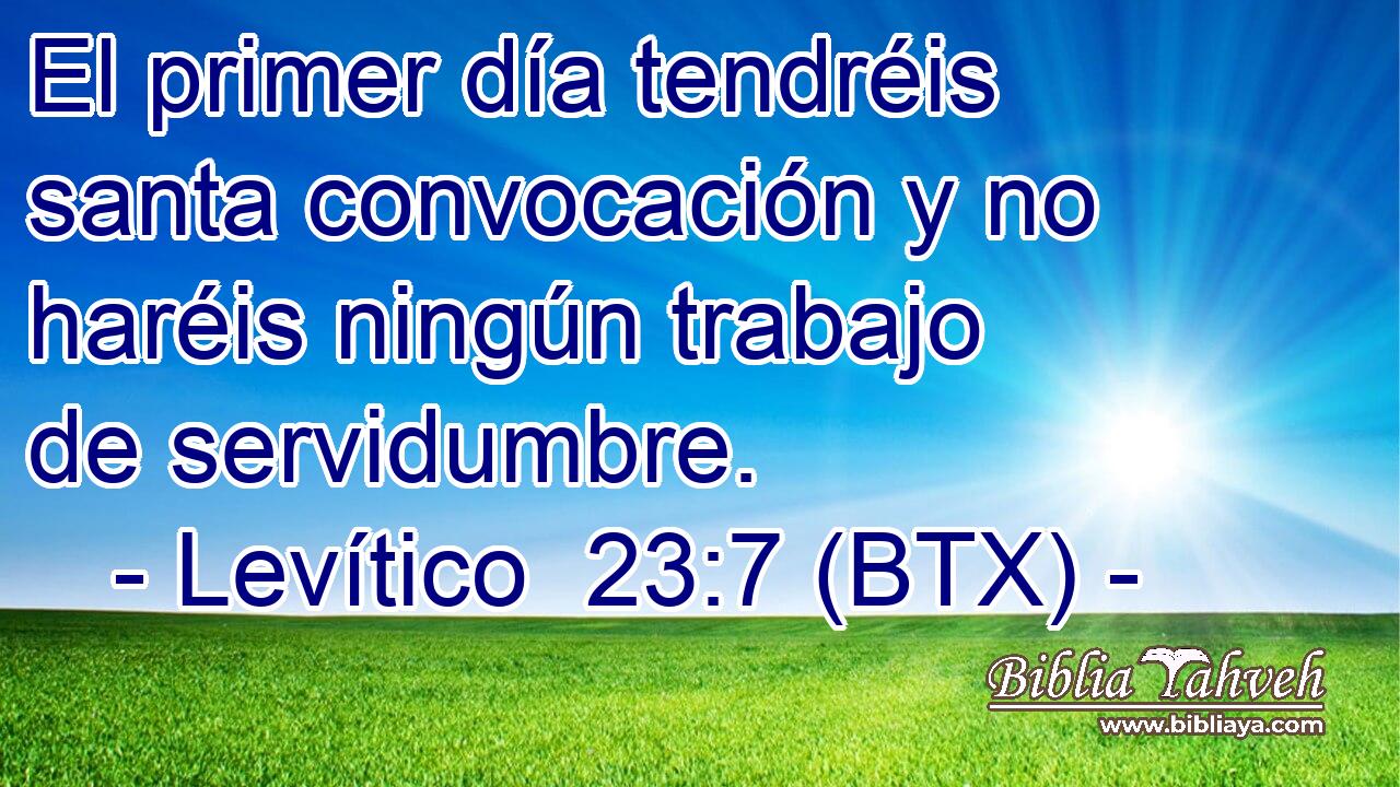 El primer día tendréis santa convocación y no haréis ningún trabajo de servidumbre.