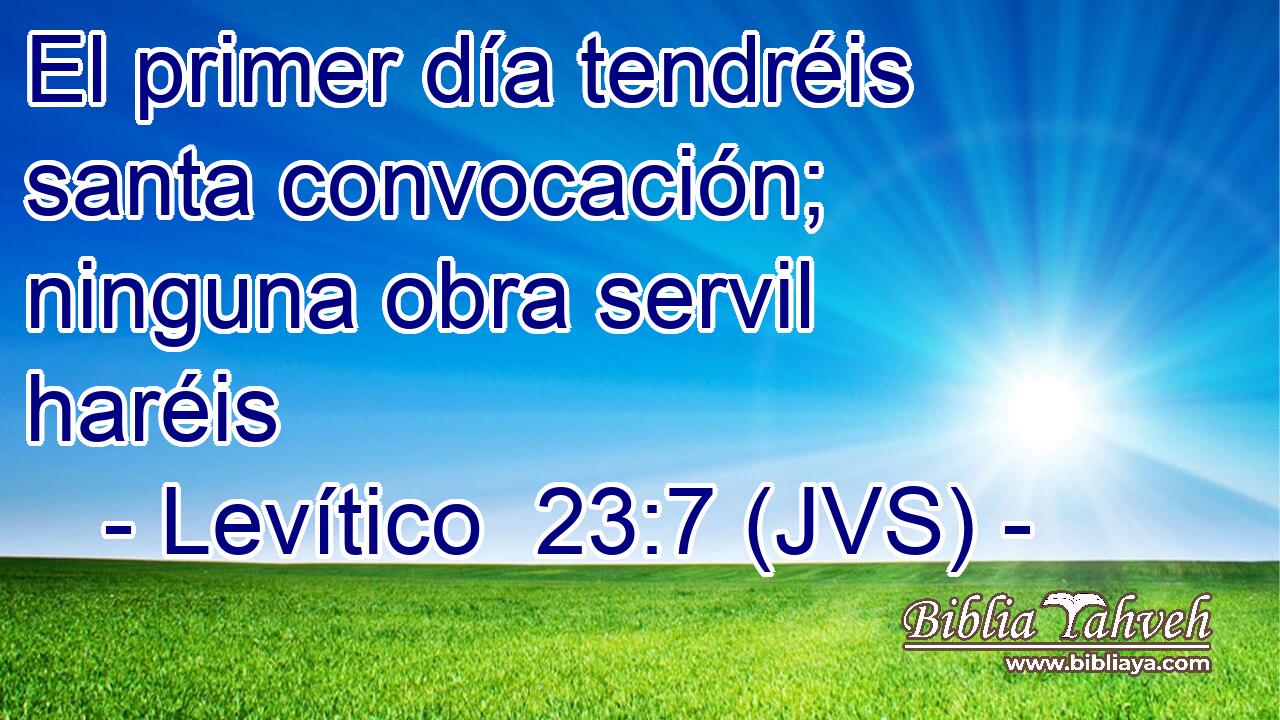 El primer día tendréis santa convocación; ninguna obra servil haréis