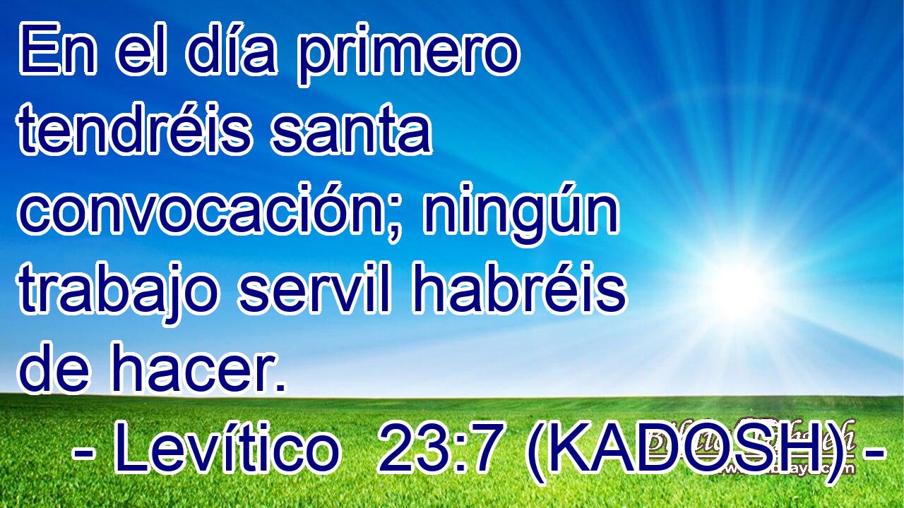  En el día primero tendréis santa convocación; ningún trabajo servil habréis de hacer. 