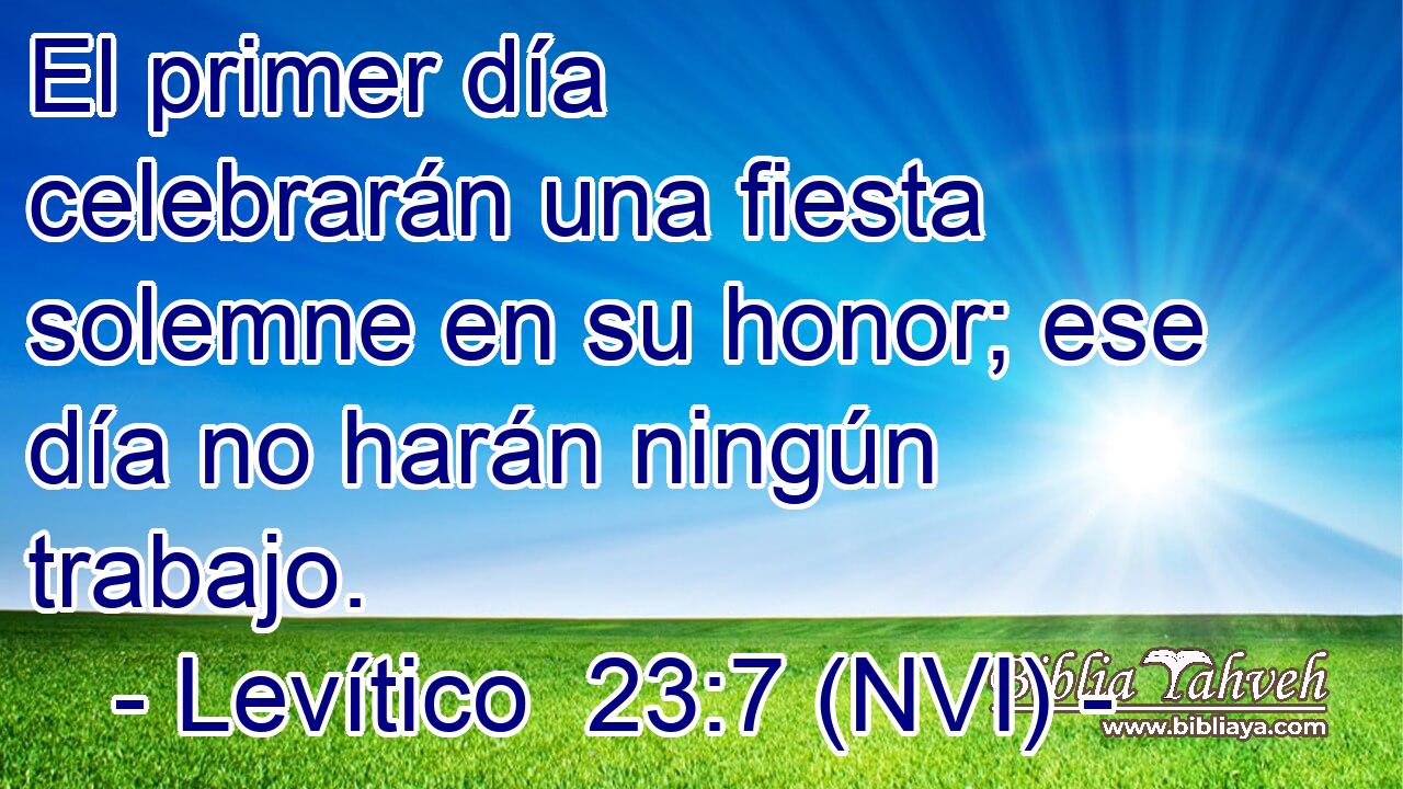 El primer día celebrarán una fiesta solemne en su honor; ese día no harán ningún trabajo. 