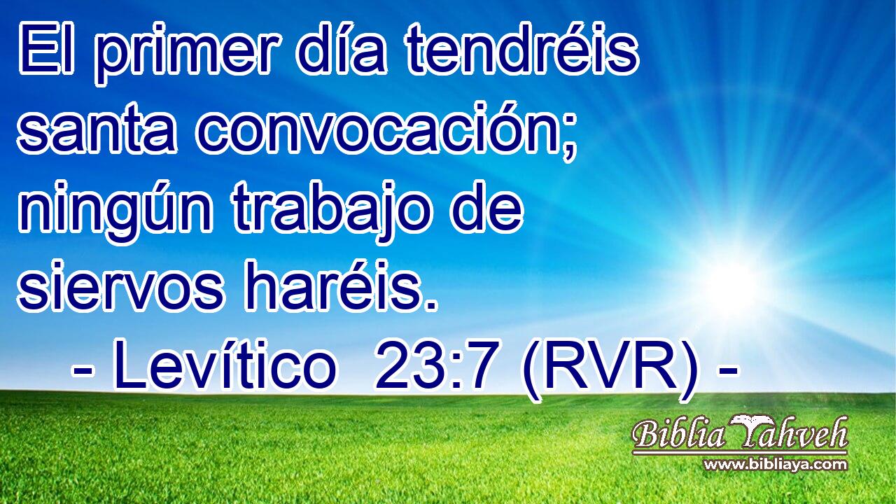 El primer día tendréis santa convocación; ningún trabajo de siervos haréis.