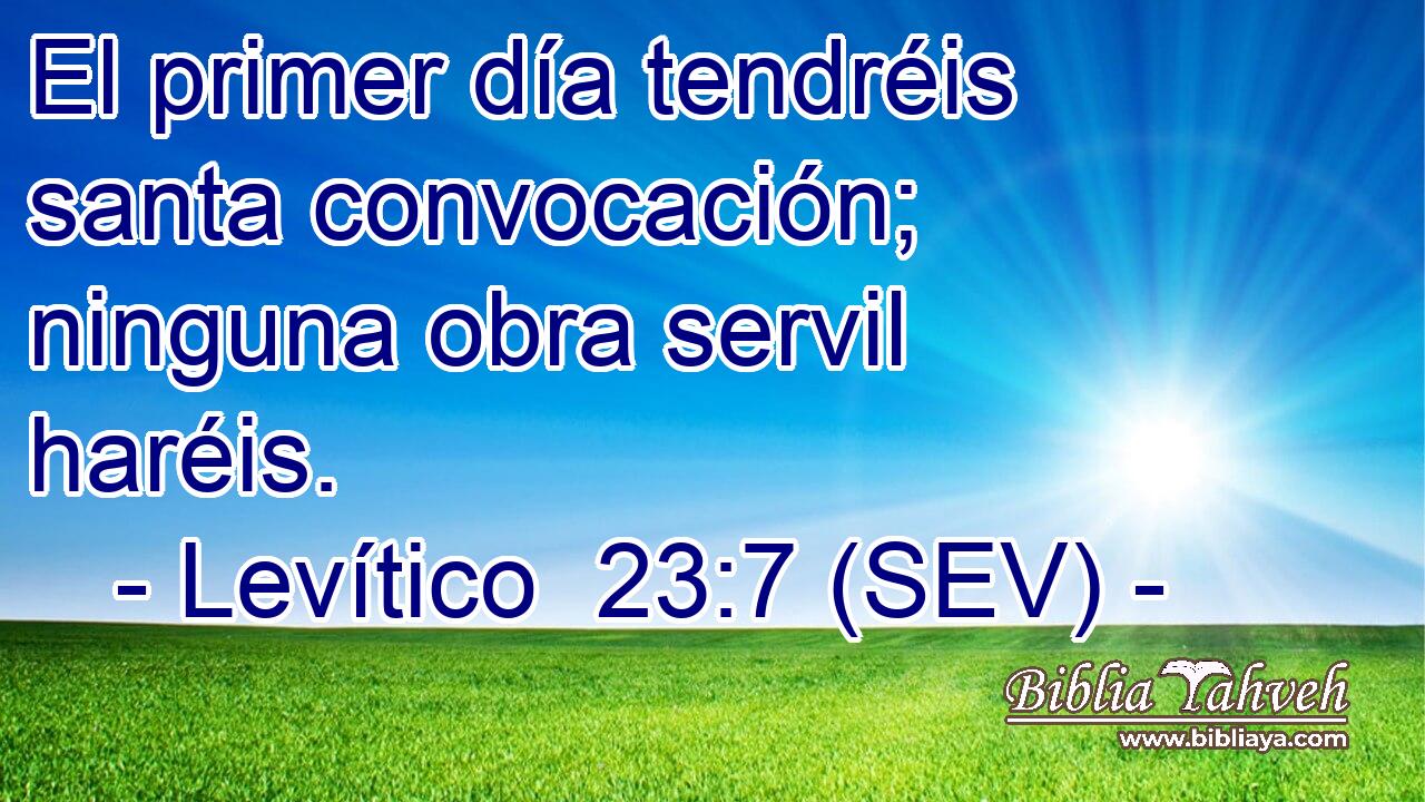 El primer día tendréis santa convocación; ninguna obra servil haréis.