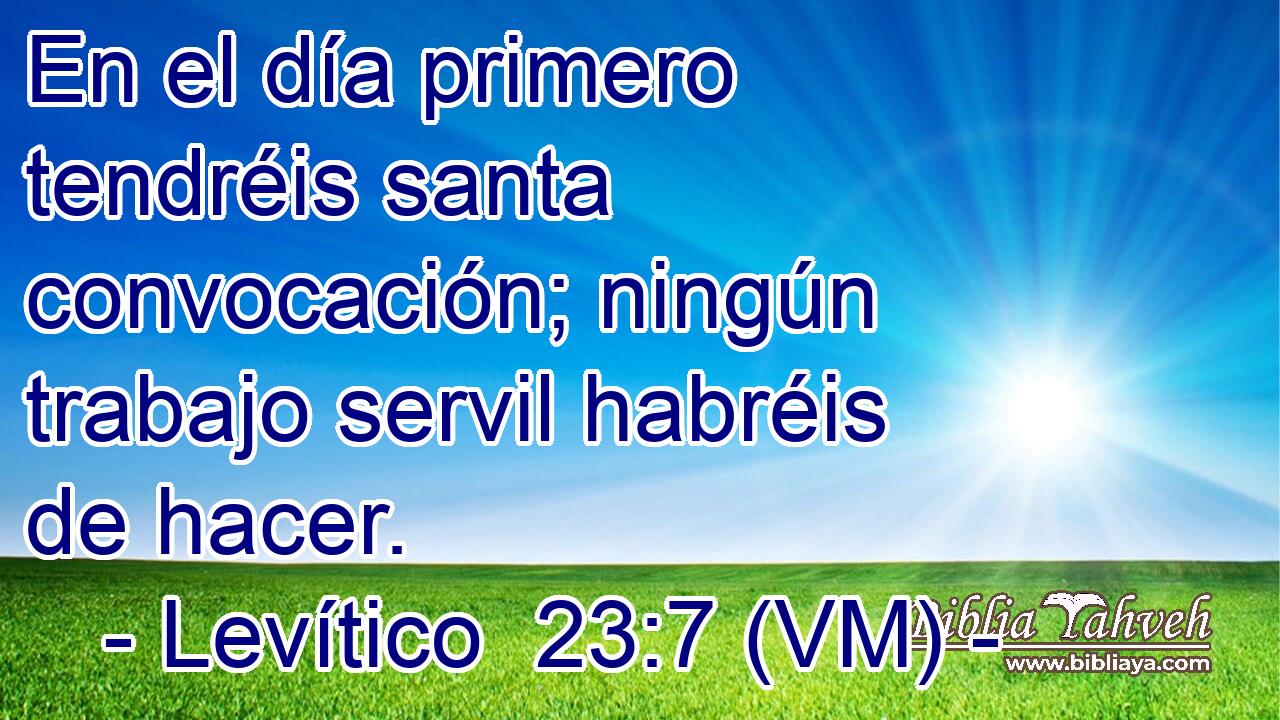  En el día primero tendréis santa convocación; ningún trabajo servil habréis de hacer. 