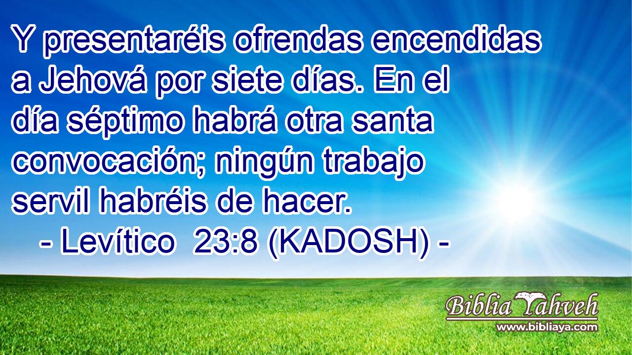  Y presentaréis ofrendas encendidas a Jehová por siete días. En el día séptimo habrá otra santa convocación; ningún trabajo servil habréis de hacer. 