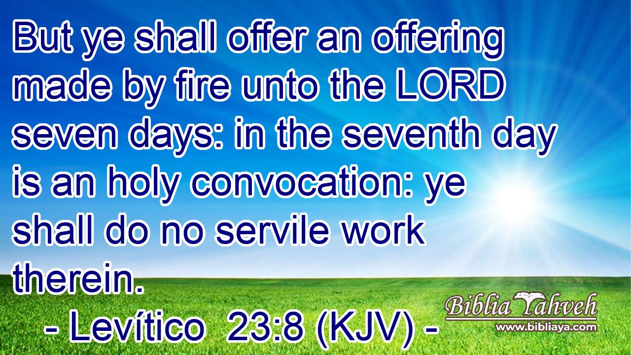 But ye shall offer an offering made by fire unto the LORD seven days: in the seventh day is an holy convocation: ye shall do no servile work therein.