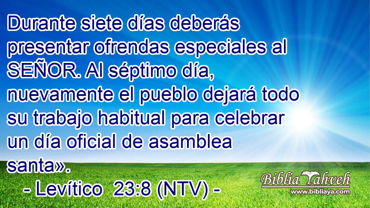 Durante siete días deberás presentar ofrendas especiales al SEÑOR. Al séptimo día, nuevamente el pueblo dejará todo su trabajo habitual para celebrar un día oficial de asamblea santa».