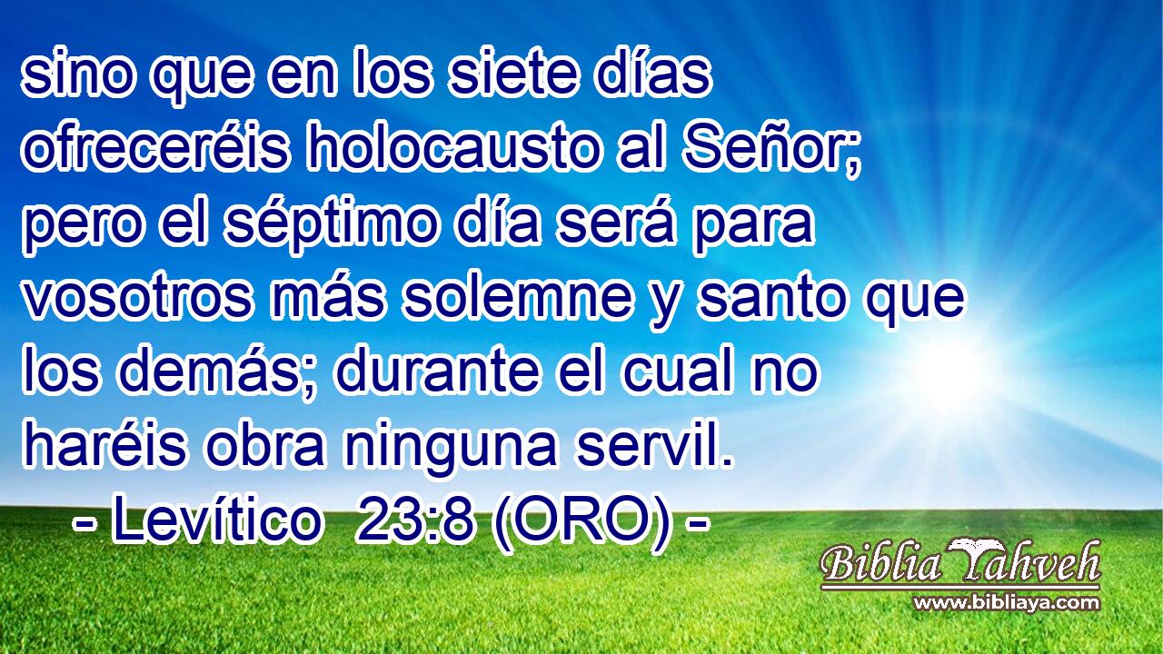 sino que en los siete días ofreceréis holocausto al Señor; pero el séptimo día será para vosotros más solemne y santo que los demás; durante el cual no haréis obra ninguna servil. 