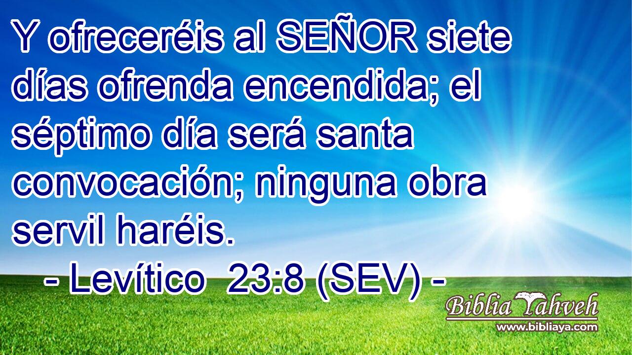 Y ofreceréis al SEÑOR siete días ofrenda encendida; el séptimo día será santa convocación; ninguna obra servil haréis.