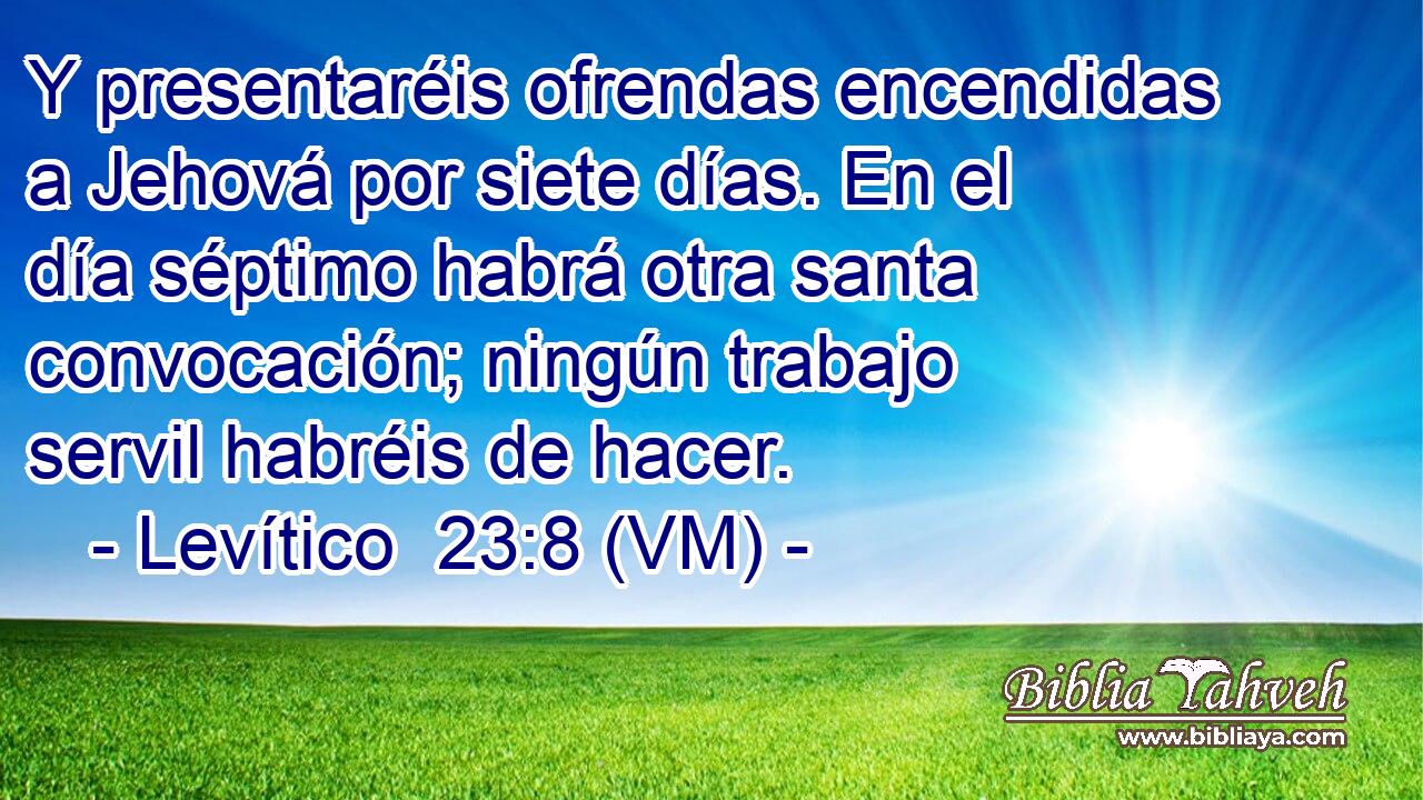  Y presentaréis ofrendas encendidas a Jehová por siete días. En el día séptimo habrá otra santa convocación; ningún trabajo servil habréis de hacer. 