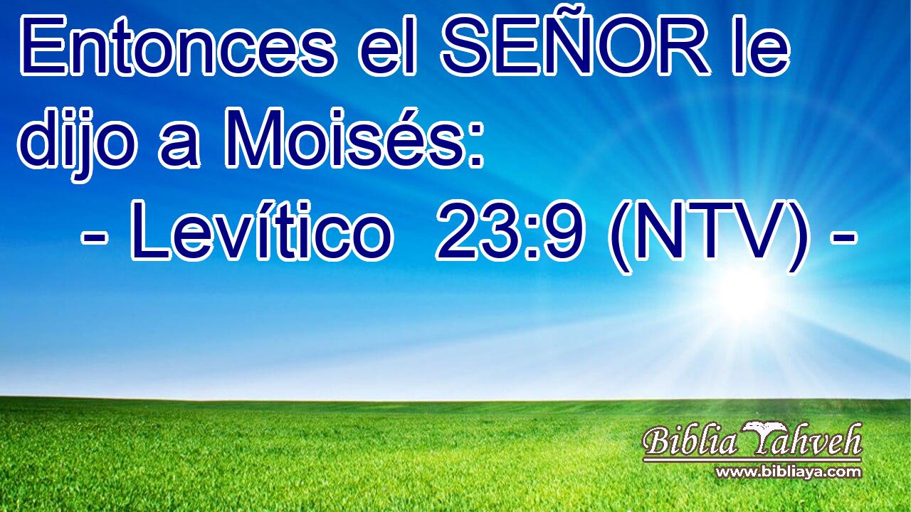 Entonces el SEÑOR le dijo a Moisés: