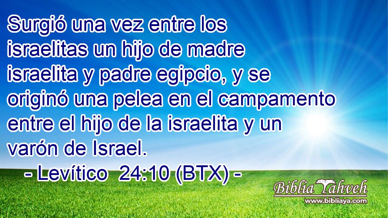 Surgió una vez entre los israelitas un hijo de madre israelita y padre egipcio, y se originó una pelea en el campamento entre el hijo de la israelita y un varón de Israel.
