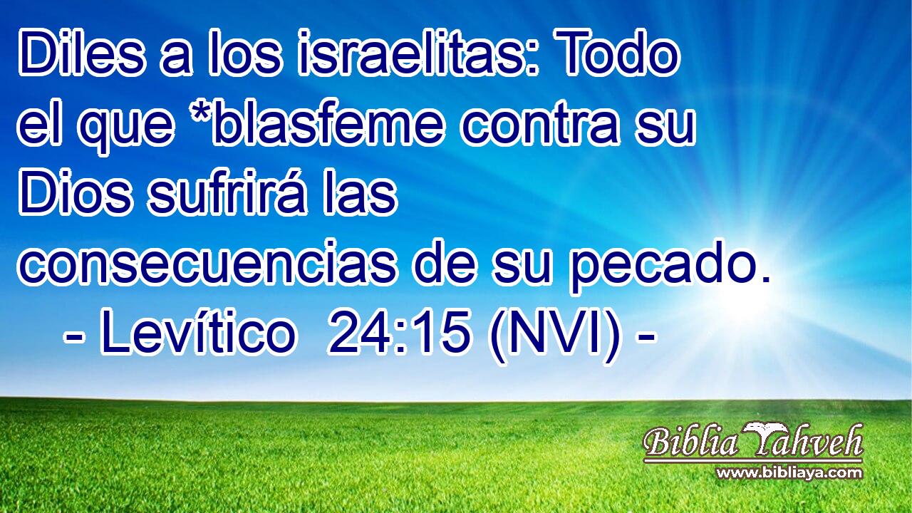  Diles a los israelitas: Todo el que *blasfeme contra su Dios sufrirá las consecuencias de su pecado. 