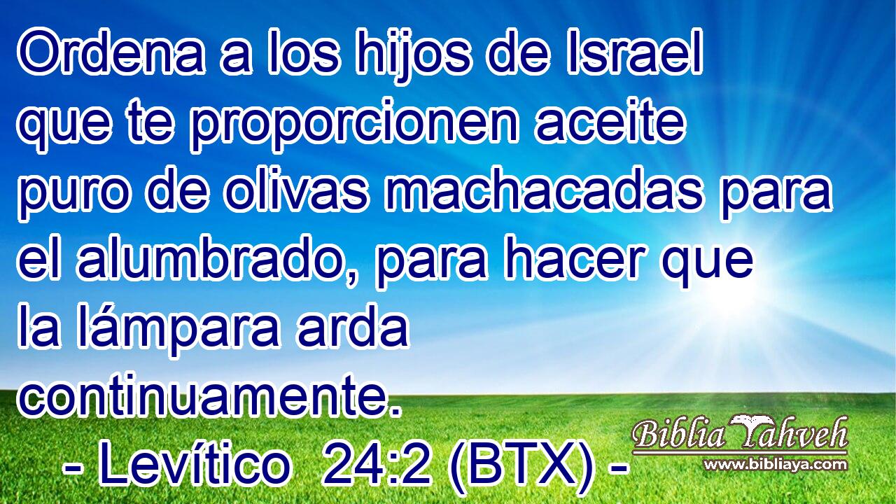 Ordena a los hijos de Israel que te proporcionen aceite puro de olivas machacadas para el alumbrado, para hacer que la lámpara arda continuamente.