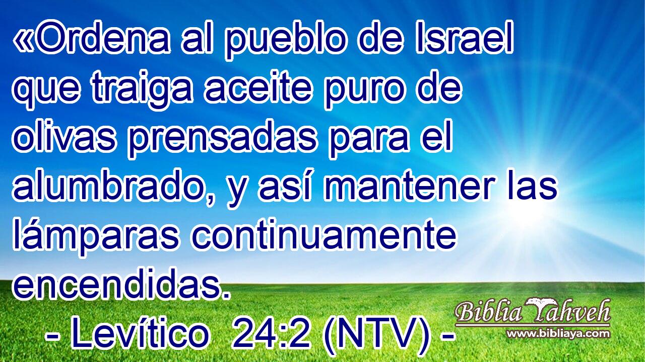 «Ordena al pueblo de Israel que traiga aceite puro de olivas prensadas para el alumbrado, y así mantener las lámparas continuamente encendidas.