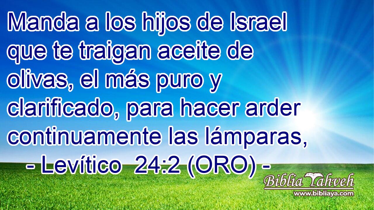  Manda a los hijos de Israel que te traigan aceite de olivas, el más puro y clarificado, para hacer arder continuamente las lámparas, 