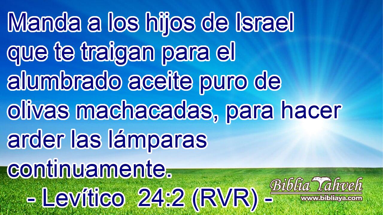 Manda a los hijos de Israel que te traigan para el alumbrado aceite puro de olivas machacadas, para hacer arder las lámparas continuamente.