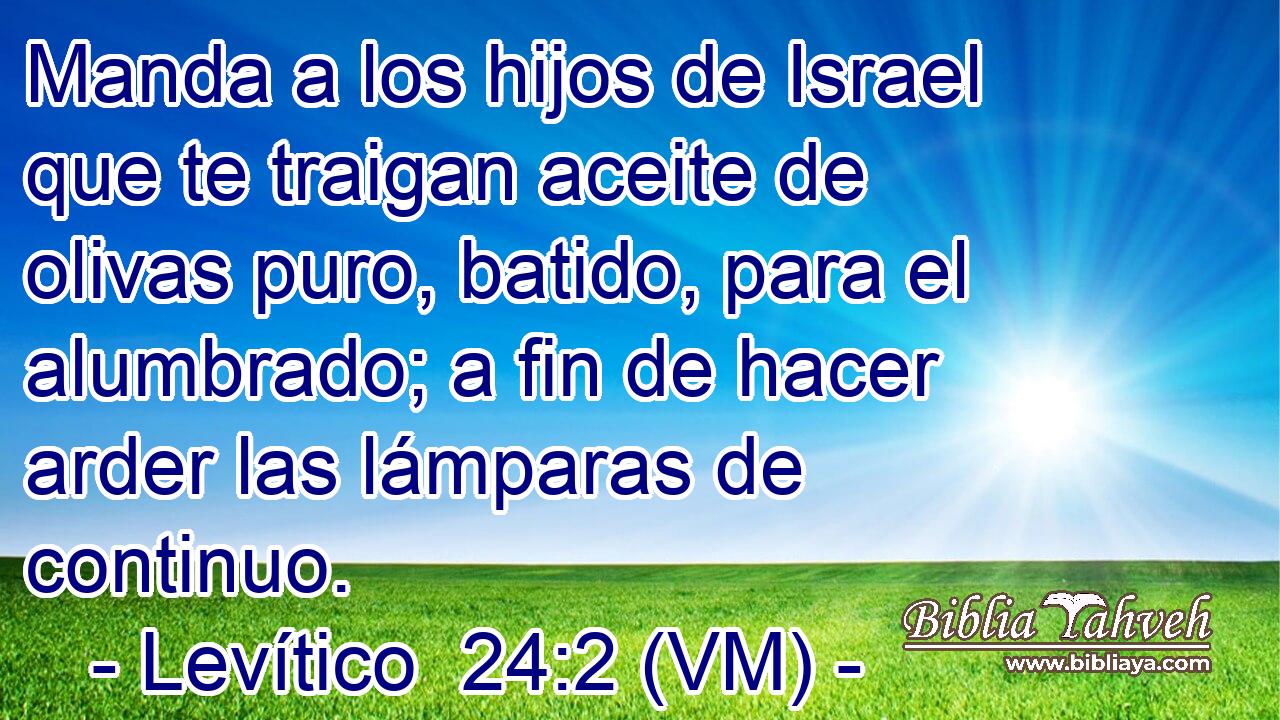  Manda a los hijos de Israel que te traigan aceite de olivas puro, batido, para el alumbrado; a fin de hacer arder las lámparas de continuo. 