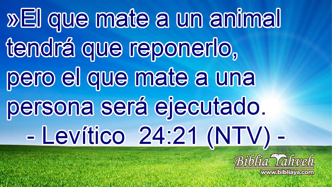 »El que mate a un animal tendrá que reponerlo, pero el que mate a una persona será ejecutado.