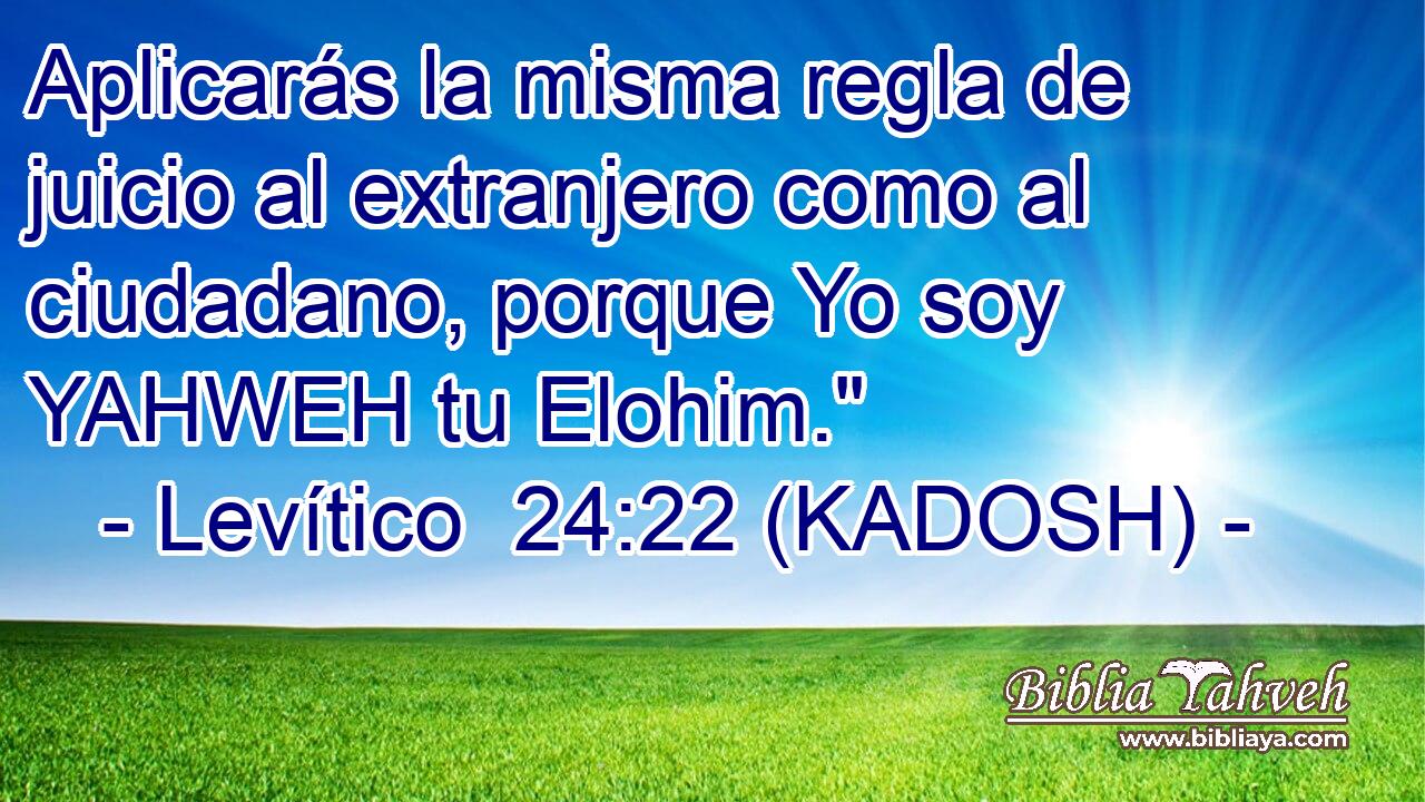  Aplicarás la misma regla de juicio al extranjero como al ciudadano, porque Yo soy YAHWEH tu Elohim.