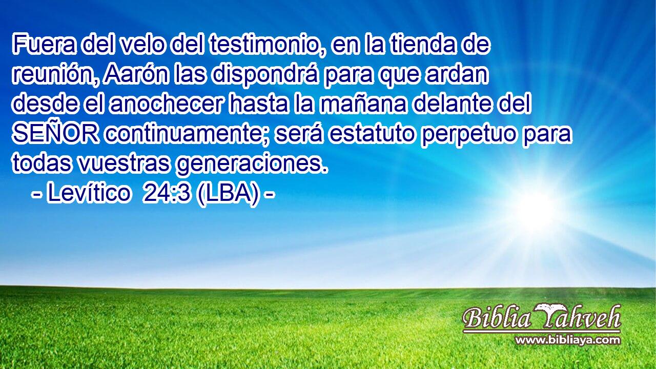 Fuera del velo del testimonio, en la tienda de reunión, Aarón las dispondrá para que ardan desde el anochecer hasta la mañana delante del SEÑOR continuamente; será estatuto perpetuo para todas vuestras generaciones.
