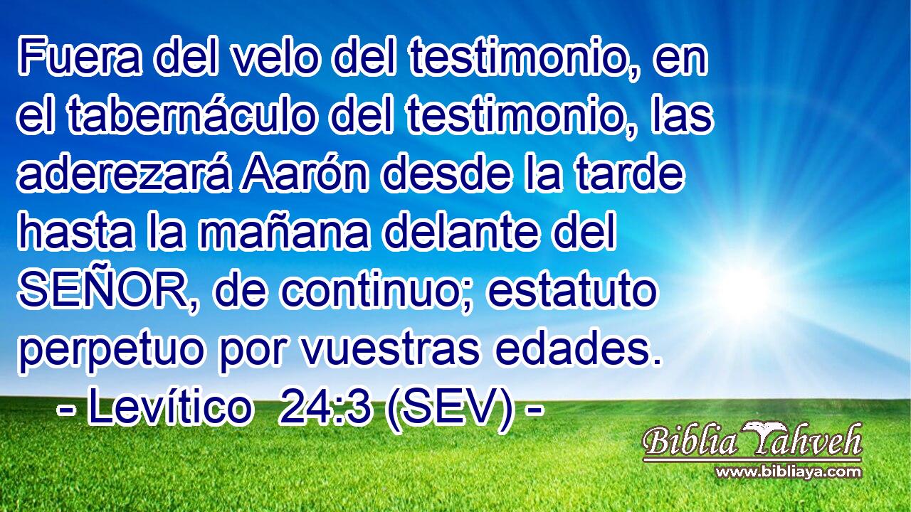 Fuera del velo del testimonio, en el tabernáculo del testimonio, las aderezará Aarón desde la tarde hasta la mañana delante del SEÑOR, de continuo; estatuto perpetuo por vuestras edades.