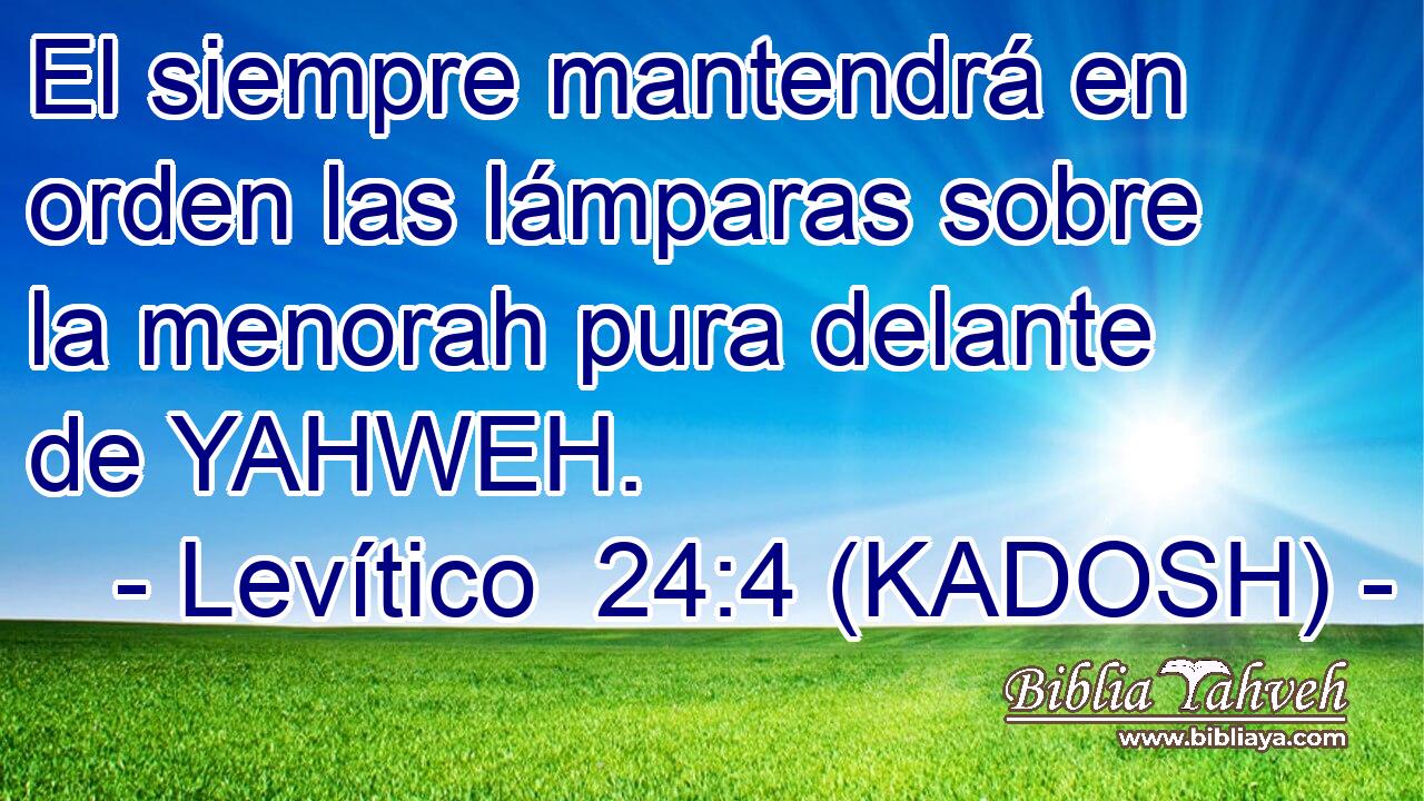  El siempre mantendrá en orden las lámparas sobre la menorah pura delante de YAHWEH. 