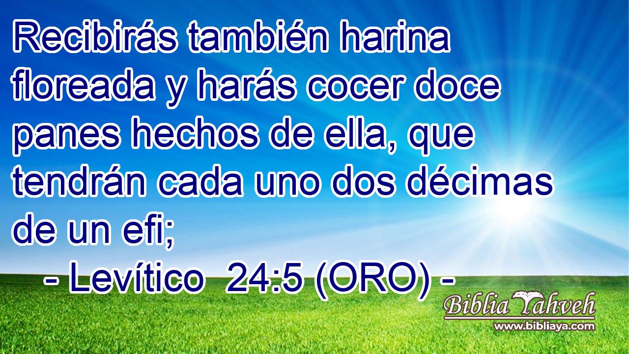  Recibirás también harina floreada y harás cocer doce panes hechos de ella, que tendrán cada uno dos décimas de un efi; 