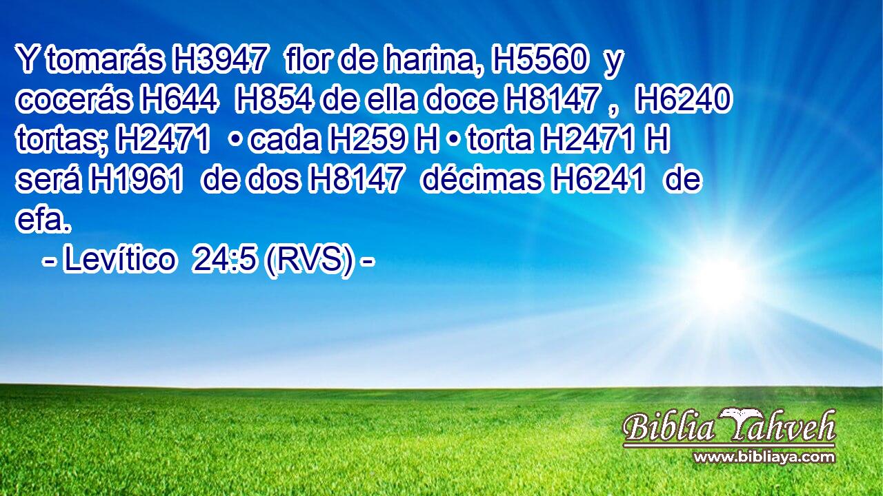 Y tomarás H3947  flor de harina, H5560  y cocerás H644  H854 de ella doce H8147 ,  H6240 tortas; H2471  • cada H259 H • torta H2471 H será H1961  de dos H8147  décimas H6241  de efa. 