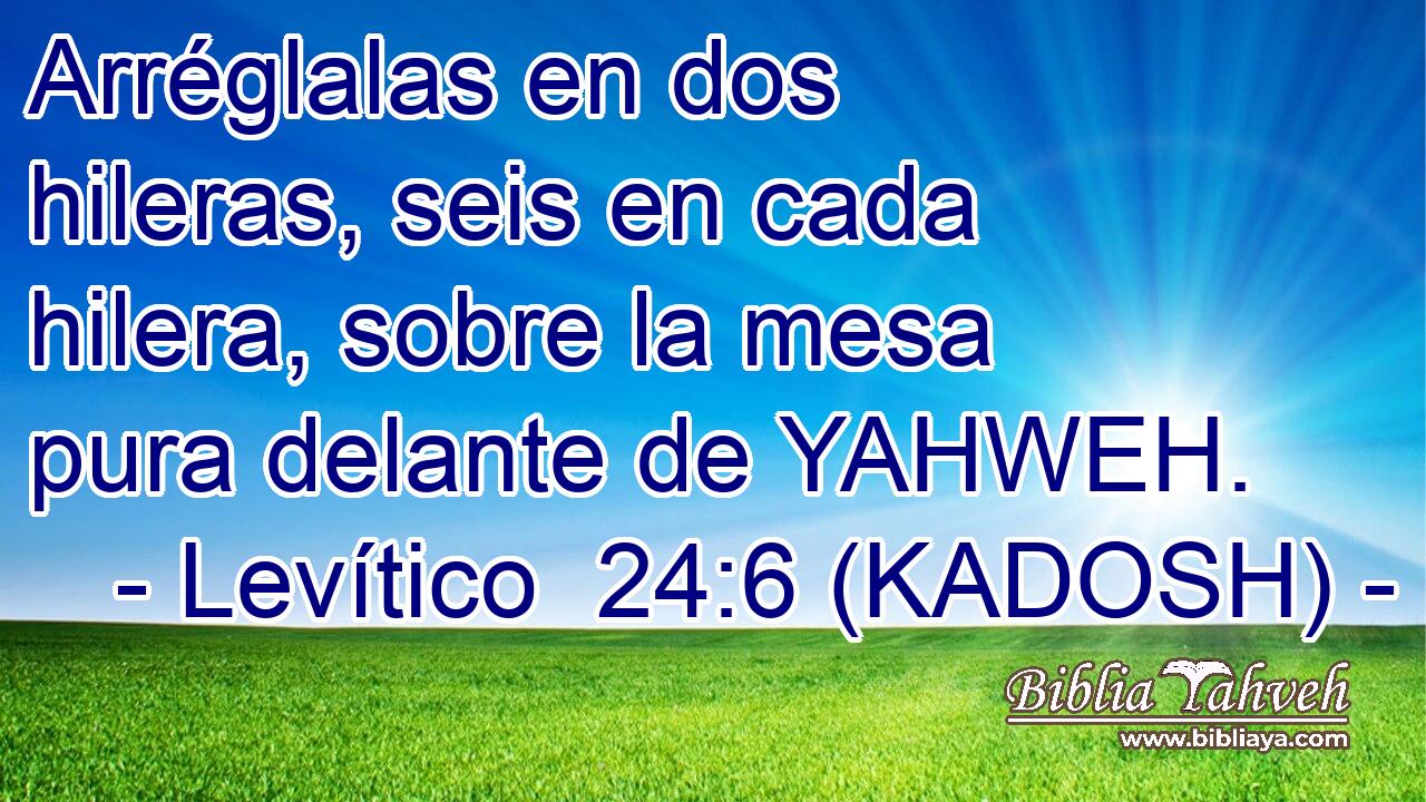  Arréglalas en dos hileras, seis en cada hilera, sobre la mesa pura delante de YAHWEH. 