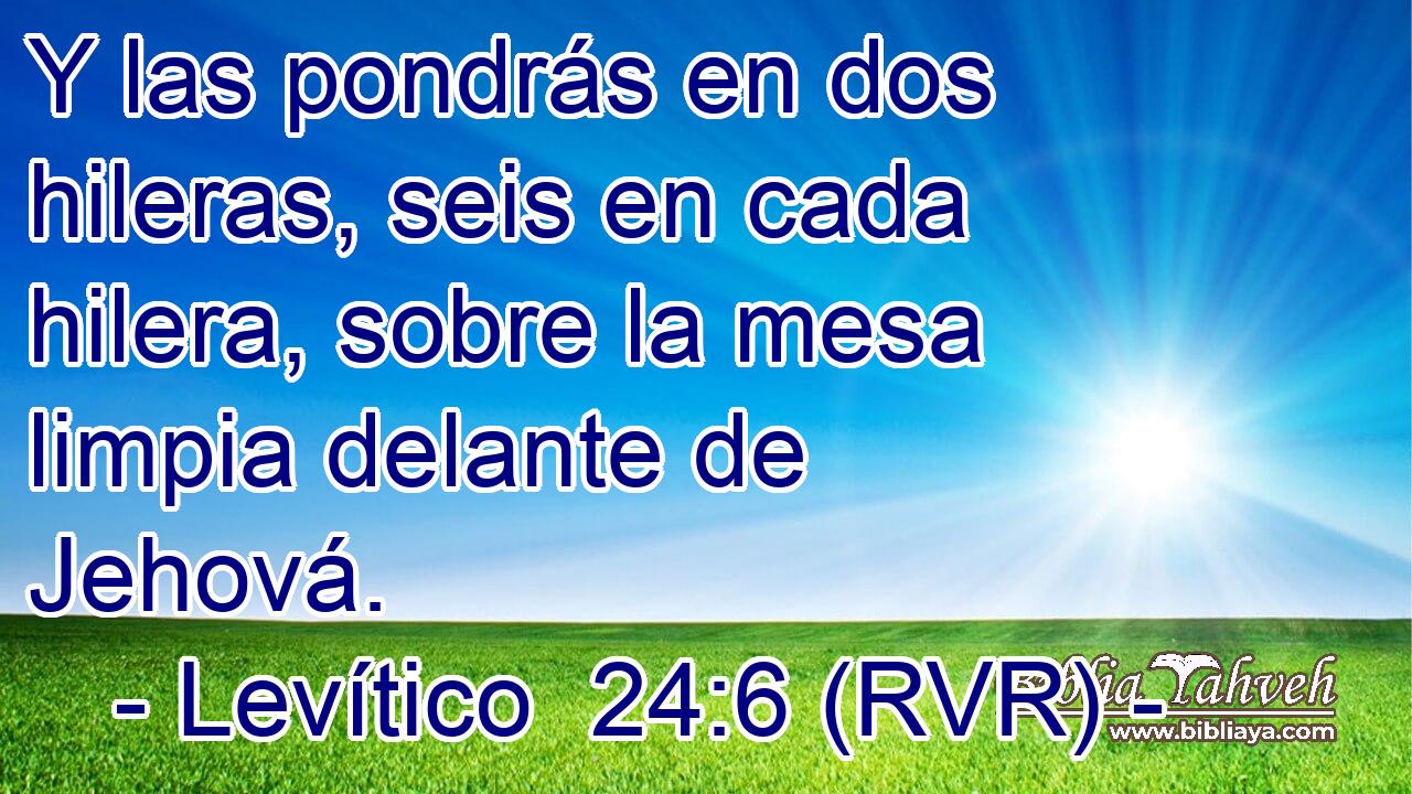 Y las pondrás en dos hileras, seis en cada hilera, sobre la mesa limpia delante de Jehová.