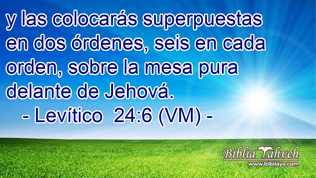  y las colocarás superpuestas en dos órdenes, seis en cada orden, sobre la mesa pura delante de Jehová. 