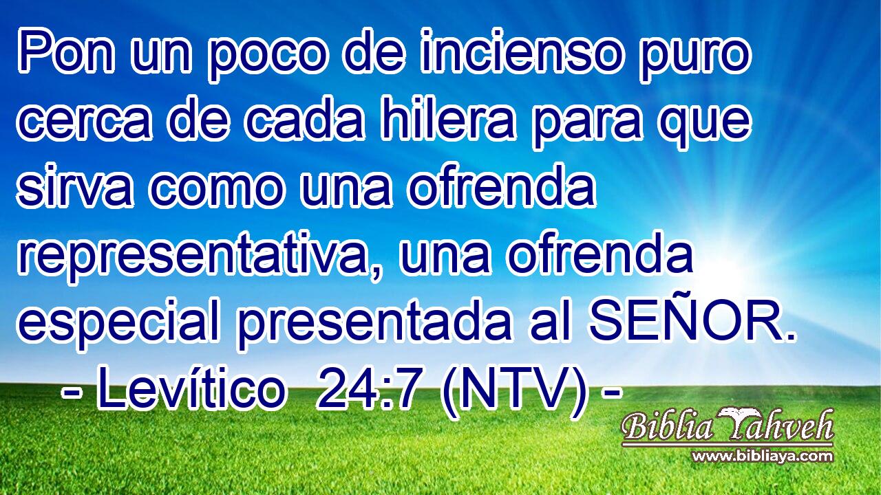Pon un poco de incienso puro cerca de cada hilera para que sirva como una ofrenda representativa, una ofrenda especial presentada al SEÑOR.