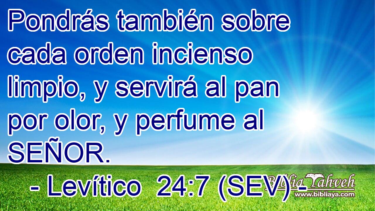 Pondrás también sobre cada orden incienso limpio, y servirá al pan por olor, y perfume al SEÑOR.
