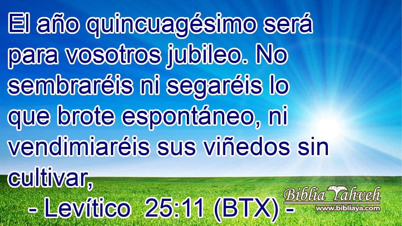 El año quincuagésimo será para vosotros jubileo. No sembraréis ni segaréis lo que brote espontáneo, ni vendimiaréis sus viñedos sin cultivar,