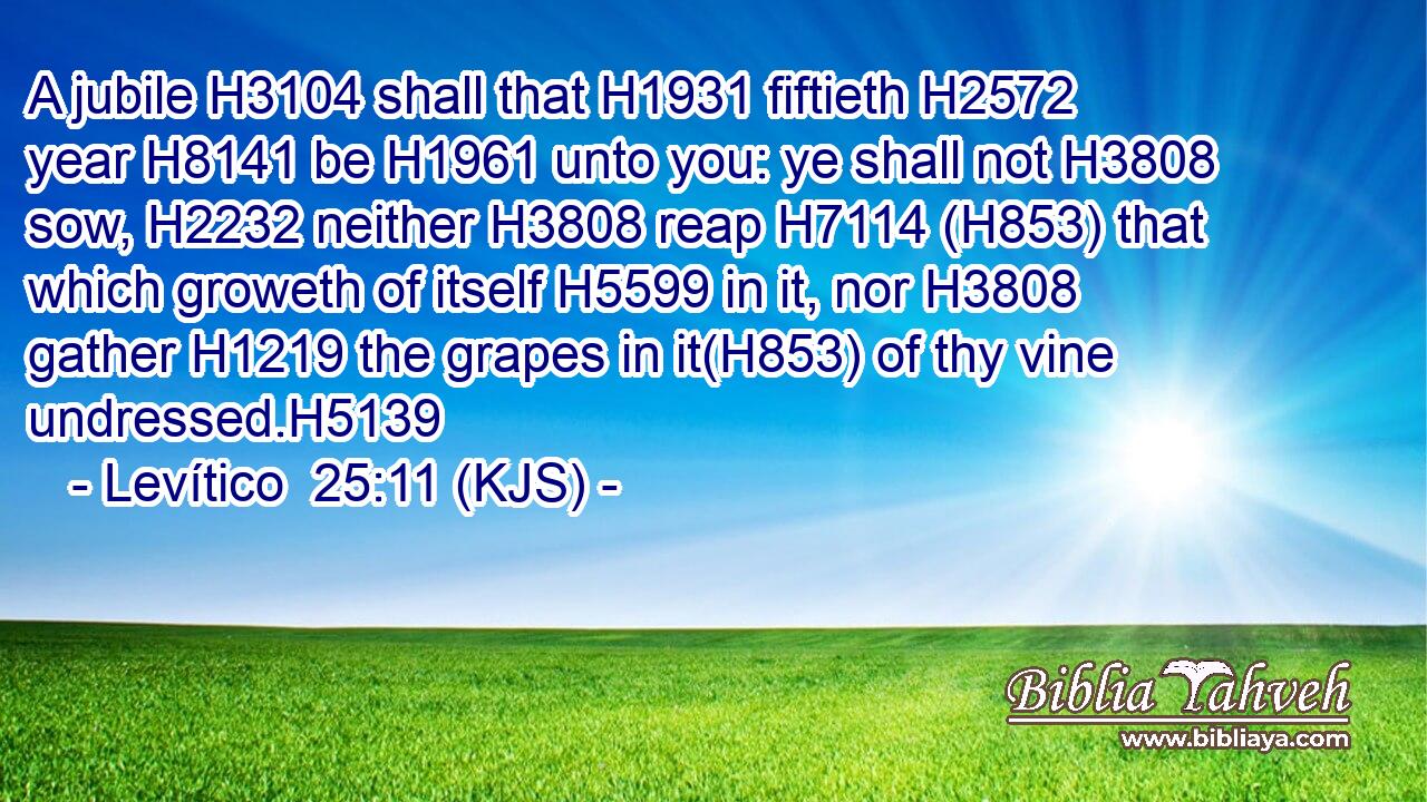 A jubile H3104 shall that H1931 fiftieth H2572 year H8141 be H1961 unto you: ye shall not H3808 sow, H2232 neither H3808 reap H7114 (H853) that which groweth of itself H5599 in it, nor H3808 gather H1219 the grapes in it(H853) of thy vine undressed.H5139