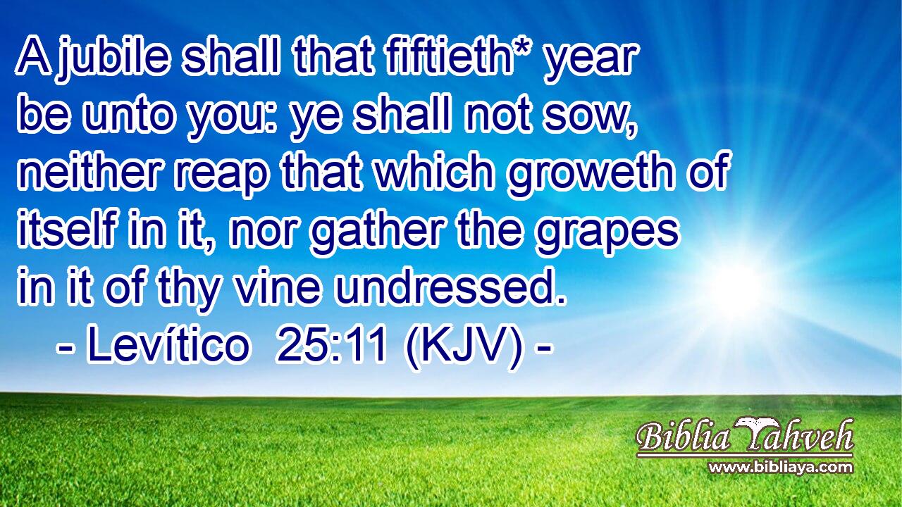 A jubile shall that fiftieth* year be unto you: ye shall not sow, neither reap that which groweth of itself in it, nor gather the grapes in it of thy vine undressed.