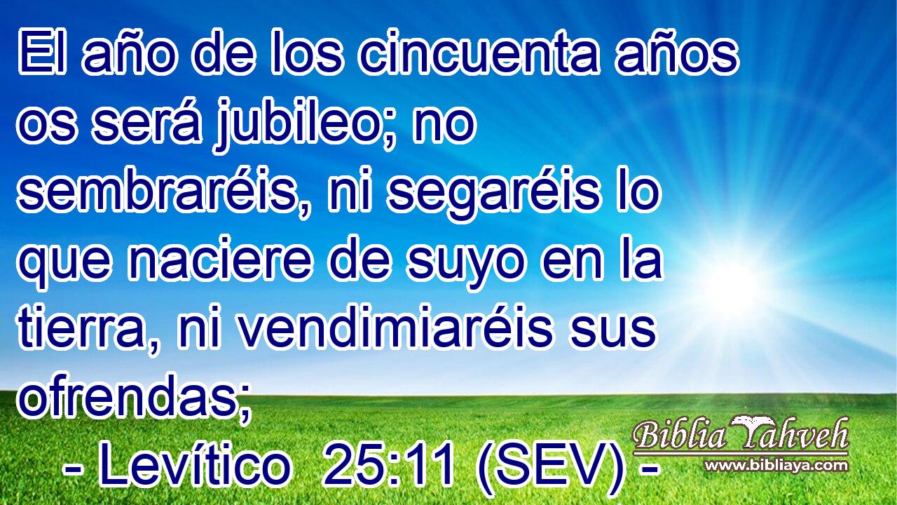 El año de los cincuenta años os será jubileo; no sembraréis, ni segaréis lo que naciere de suyo en la tierra, ni vendimiaréis sus ofrendas;