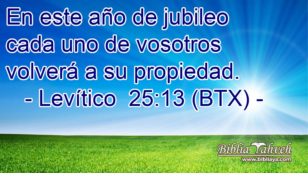 En este año de jubileo cada uno de vosotros volverá a su propiedad.